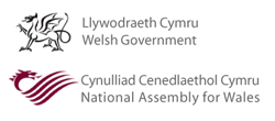 Welsh Government and parliament